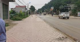 Gia đình chúng tôi cần bán đất tổ 19, Phường Nam Sơn, Tam Điệp, Ninh Bình, diện tích 151m2