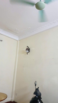 Cho thuê nhà riêng ngõ Gốc Đề - Minh Khai, Hà Nội: Nhà gần TTâm TP: 6PN, 3VS tiện ích ngập tràn