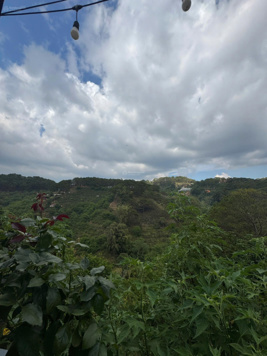 Cho thuê homestay đẹp đường Đặng Thái Thân, Phường 3, Đà Lạt