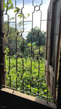 Bán đất thổ cư sổ hồng 2022 tại xã Sơn Xuân, Cao Nguyên Vân Hòa Phú Yên giá 1,05 tỉ, 560 m2