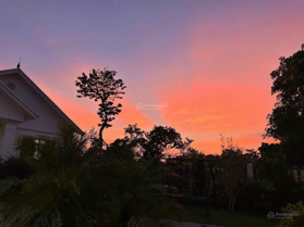 Cho thuê nhà vườn lâu dài tại Phú Hữu xã Minh Phú - Sóc Sơn