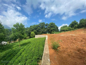 Chính chủ gửi bán! Lô đất 1ha đất cao thoáng tại Yên Bình, Thạch Thất