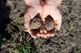 🔥  BÁN ĐẤT ĐẸP BẠCH MAI -Trung Tâm BÁCH,KINH,XÂY– MẢNH ĐẤT HIẾM CÒN XÓT LẠI!!! 