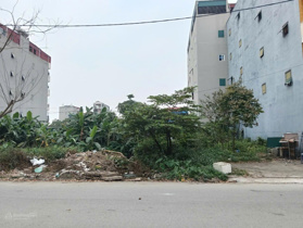 Chính chủ gửi bán lô biệt thự 200m2 tại dự án Bắc Hà - Xuân Lâm, Thuận Thành, Bắc Ninh