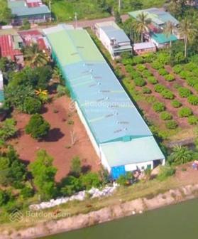 Bán kho km47 Krong Pắc 1500m2, pháp lý thổ cư, đã có kho sẵn full diện tích đất