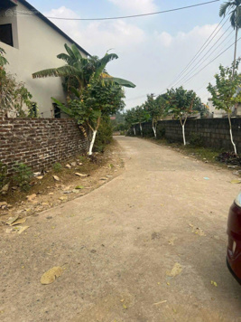 Bán đất 500m2 lô góc 2 mặt tiền tại xã Thanh Cao, Lương Sơn, Hòa Bình, 4,5 triệu/m2