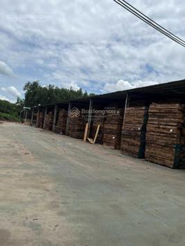 Bán kho xưởng Bàu Bàng 2 mặt tiền - đường Hồ Chí Minh - sổ sẵn - đang cho thuê 270 triệu/tháng