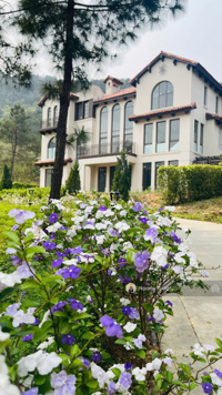 Duy nhất 1 lô biệt thự đơn lập rẻ nhất quỹ hàng giá siêu ưu đãi đợt 1, CK thêm 300 triệu LH ngay