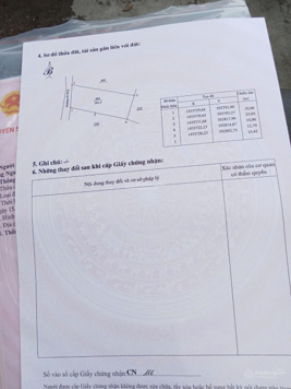 Chính chủ bán nhanh lô đất Thạch Tuân Hoà Xuân Đông đường ô tô 241,3m2 ngang 10m chỉ 530tr