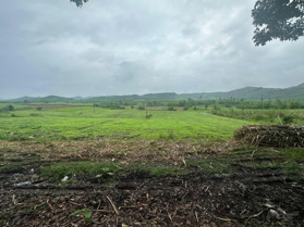 Bán lô đất mặt tiền Quốc Lộ 29 Thông Phú Yên và Daklak