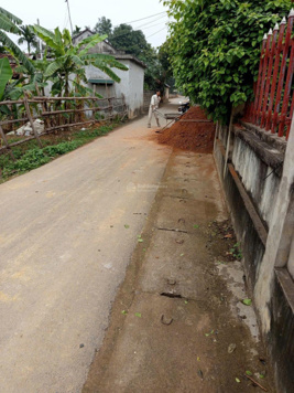 BÁN ĐẤT HƯƠNG SƠN , NGON NHƯ BÁNH TRÁNG TRỘN!