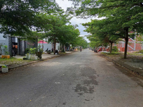 Bán đất biệt thự Khánh An cách chợ Hoà Khánh 1km