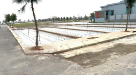 Bán cắt lỗ 2 lô đất nền ven biển Quất Lâm sổ đỏ từng lô.