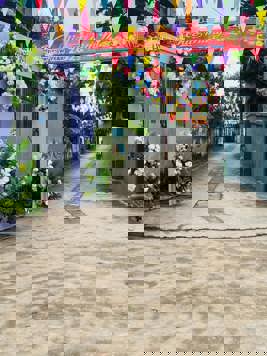 Bán Đất Chính Chủ Cụm 1 Xã Thọ Xuân Đan Phượng Hà Nội