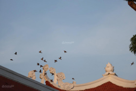 Dự án bất động sản tâm linh tiềm năng tại Tuyên Quang