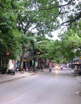 CĐT cho thuê mặt bằng tại 77 - 79 Đặng Văn Ngữ, giá tốt, 500k/m2/th, diện tích linh hoạt