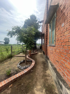 Bán đất tặng nhà mặt phố 575m2 8x72m 100m2 thổ cư, giá tốt 1,25tỷ đường 02 số Thạnh Tân, Tây Ninh