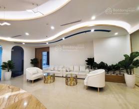 Quận 3 cho thuê văn phòng hạng sang tại Leman