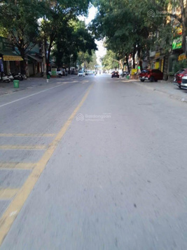 Chính chủ bán nhà mặt phố Hạc Thành, 133m2 mặt tiền 5m4 con phố vị trí vàng siêu kinh doanh