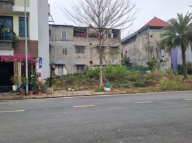 Bán đất khu đô thị TMS Phúc Yên vị trí vàng, tiềm năng sinh lời diện tích: 70m2 mặt tiền 5m