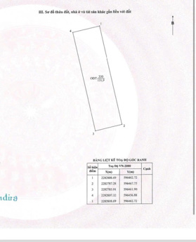 Xuất hiện lô góc khe cây xanh giá rẻ