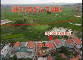 Ô góc 2 mặt tiền Thôn 1 Sông Khoai. Trục thông các ngả. Đối diện dự án Amata