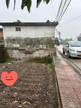 Bán Đất 88,5m2 tại Đông Lâm, Tiền Hải, Thái Bình, giá có thỏa thuận, MT 5,5m Lh E phong 0976 691 533