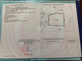 Cần bán ô đất biệt thự bám trục đường Trần Thái Tông