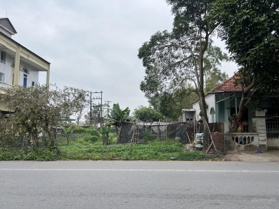 Siêu hot đất nền Trà Cổ sát đặc khu Móng Cái, Sổ đỏ chính chủ giá cực tốt cho nhà đầu tư đón