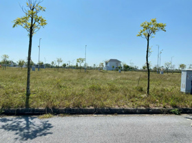 Lô đất 189m2 cực đẹp tại KĐT Phượng Hoàng, nhà đầu tư nhanh tay sở hữu, đón nhiều dự án mới