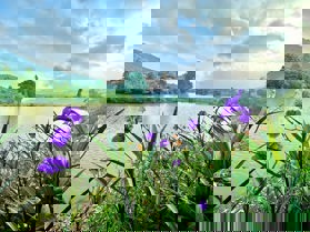 Quỹ Biệt thự Flamingo Đại Lải, view hồ, nội thất sang trọng, không gian nghỉ dưỡng tuyệt đỉnh