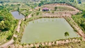 Đất trang trại gần hồ Đại Lải giá rẻ