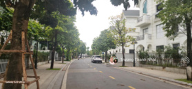 Ngã cây! Cho thuê biệt thự đơn lập OCP1 - Phù hợp kinh doanh cafe, khách sạn, trường học. 25tr/th