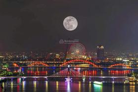 Bán căn hộ cao cấp view pháo hoa, sông Hàn - bàn giao quý 4 / 2025 - sổ đỏ sở hữu lâu dài