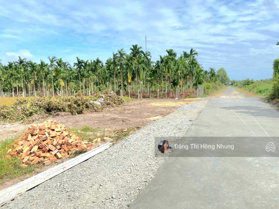 490tr, sát sân banh, trường học Truông Mít, đường bê tông 5*47m có TC