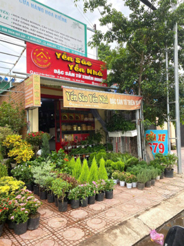 35tr/1m2 - Chính chủ - Trần Quý Cáp, phường Ninh Hiệp, trung tâm thị xã Ninh Hòa