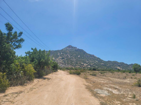 Chính chủ cần bán gấp đất gần trung tâm hành chính Huyện Thuận Nam