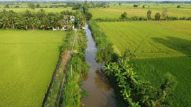 Em cần sang lại 5,3 công đất lúa mặt tiền 02 bờ kênh lớn tại huyện Châu Thành, Trà Vinh