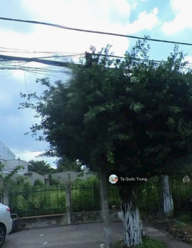 Bán đất Đ. Phạm Thái Bường, P. 4, gần BV Sản Phụ Khoa Vĩnh Long. 120m2. Full thổ cư. SHR