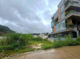 CẦN BÁN GẤP LÔ ĐẤT BIỆT LẬP VẠN THÀNH P5 TP ĐÀ LẠT 235m2 GIÁ RẺ