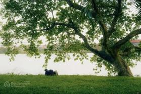 Đất nền đầu tư du lịch 2000m2 view sông Hương di sản Unessco Phố Huế giá 35 tỷ 0927 464 999