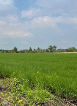 MT Kênh Tây, Lộc Ninh, Dương Minh Châu, Tây Ninh
