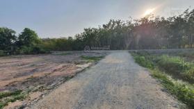 Bán lô đất 270tr cách nhựa 300m, trung tâm xã Lộc Ninh, Dương Minh Châu Liên hệ: 0763 914 309