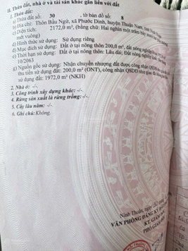 Chỉ 2 tỷ sở hữu đất Phước Dinh, Ninh Thuận. Liên hệ: 0937 947 336