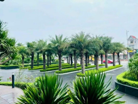 Căn hộ 2 PN Tecco Elite, cho thuê được 8,3 triệu được một tháng, hợp đồng thuê 2 năm, Giá giật mình