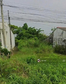 Cần bán đất MT Cổ Cò, Mỹ Lợi B, Cái Bè, Tiền Giang. 120m2, SHR