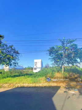 Bán gấp đất Đ. Huyện 02, Bình Nghị, gần chợ Gò Công, Tiền Giang 120m2 giá 1tỷ3. SHR