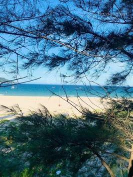 Thanh lý 1.000m2 đất thổ cư ven biển - 2 mặt tiền đường - tổng giá 1 tỷ 689 triệu - LH: 0934 458 789