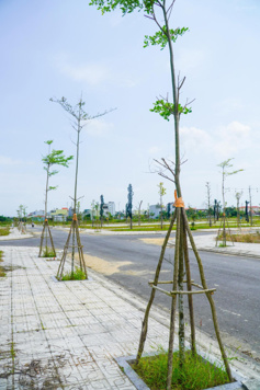 Đất nền khu đô thị An Điền Phát Quảng Ngãi - Đã có sổ hồng 100%