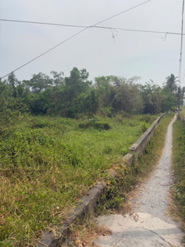 Bán Đất tại Nam Sông Hậu, Trần Đề, Sóc Trăng, 2988m2 giá siêu hời đẹp, nhiều tiện ích